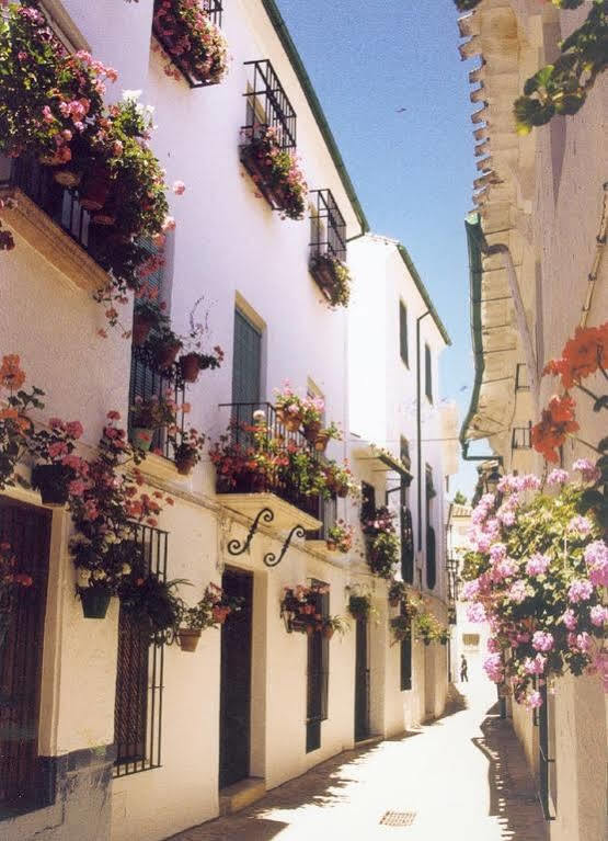 La Posada Real Priego De Cordoba Bagian luar foto
